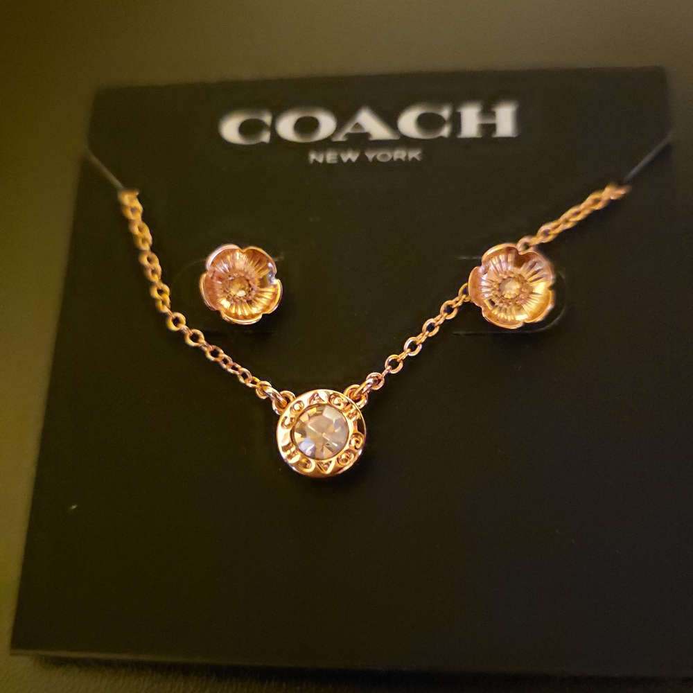 Coach Rose Gold Necklace and Earring Set